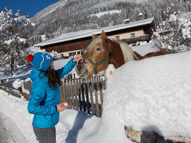 Hotel-Pension Wildschütz