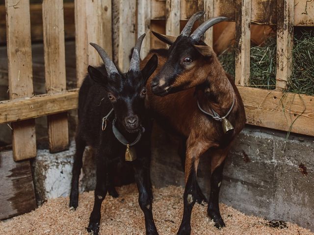 Ferienbauernhof Schwaigergut