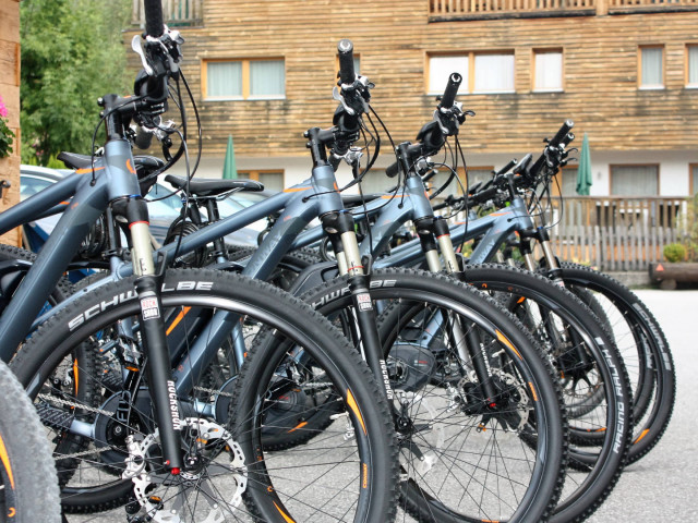 Appartement Mühlpointhof in Lofer