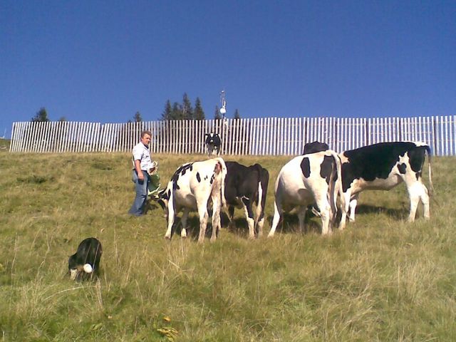 Almhütte Müllergut