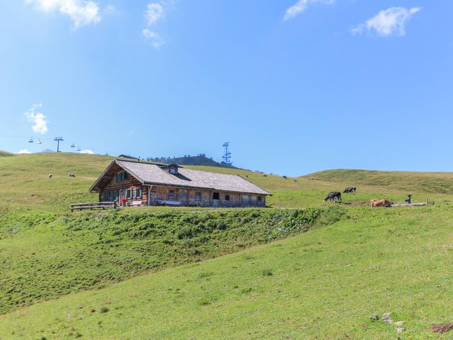 Almhütte Müllergut