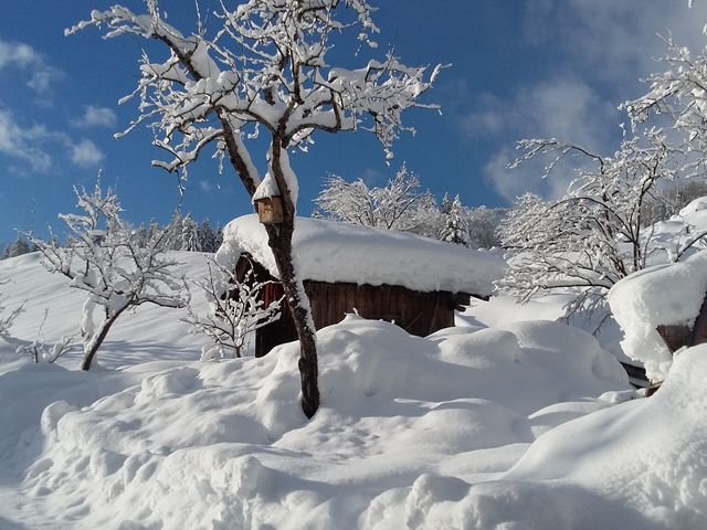 Ferienwohnung Brandtner