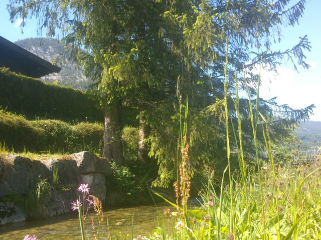Ferienwohnungen am Moosbach