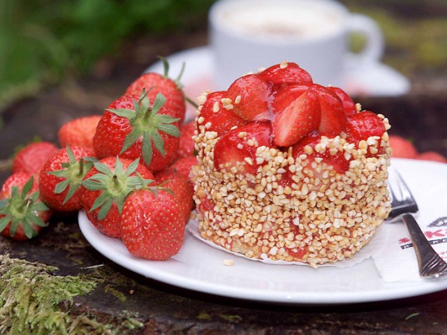 Hotel Mühlpointhof in Lofer