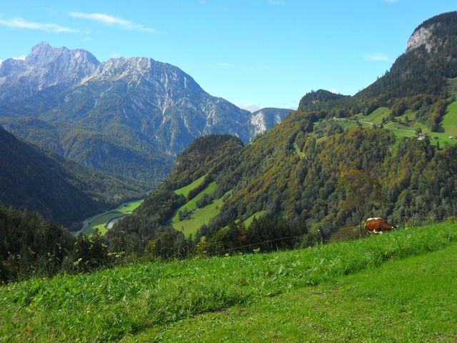 Almhütte Heubadehof